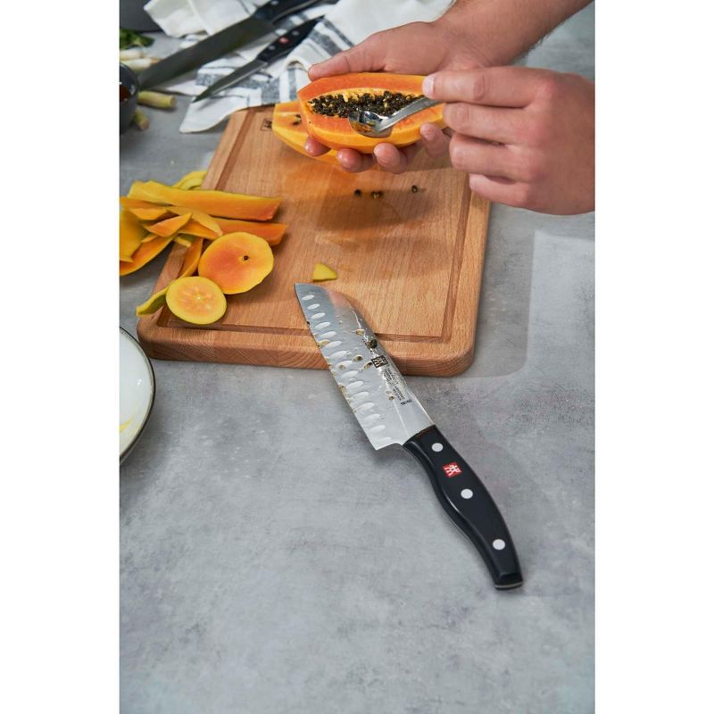 ZWILLING TWIN Master 2.5-inch Bird's Beak Pealer Knife
