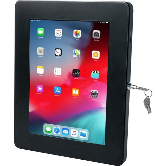 CTA Digital PAD-PARAW Premium Locking Wall Mount