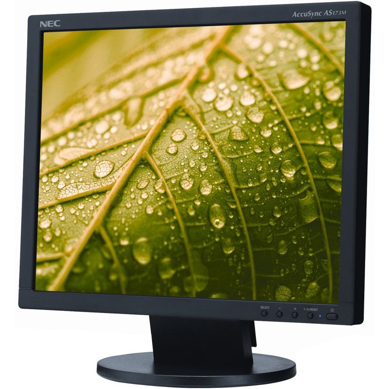 NEC Display AccuSync AS173M-BK 17" SXGA LED LCD Monitor - 5:4 - 17" Class - Twisted nematic (TN) - 1280 x 1024 - 16.7 Million Colors - 250 Nit Typical