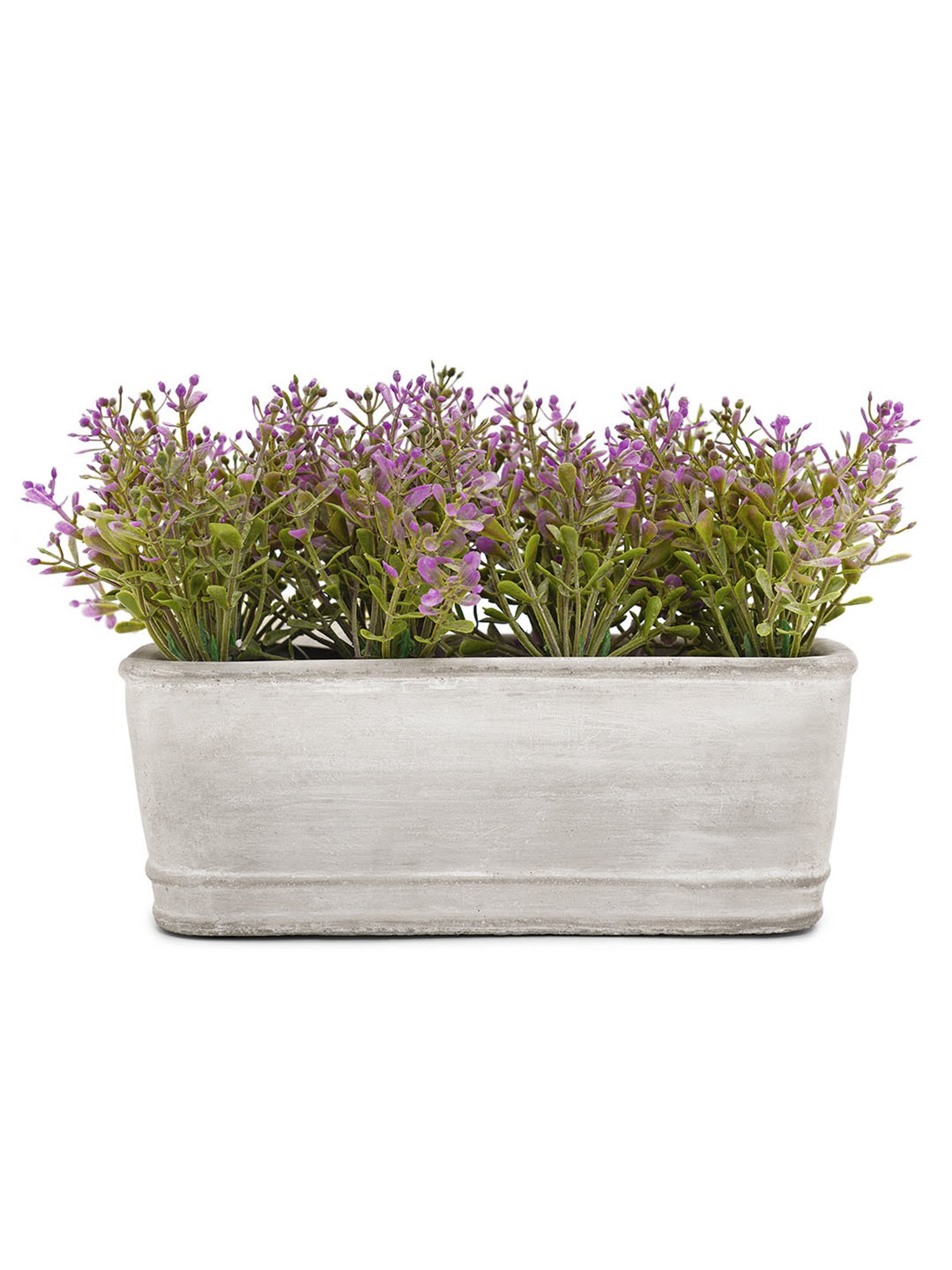 Pure Home and Living Purple Plastic Potted Plants