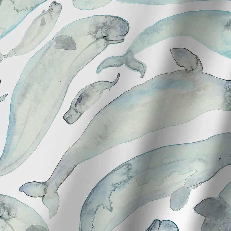Americanflat Belugas by Elena Oneill 71" x 74" Shower Curtain