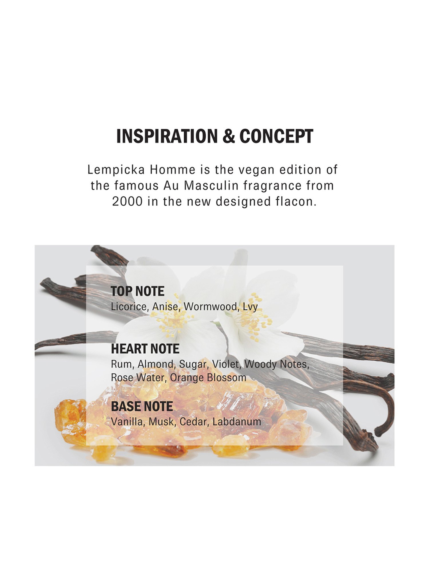 Lolita Lempicka Lempicka Homme Eau de Toilette - 100 ml