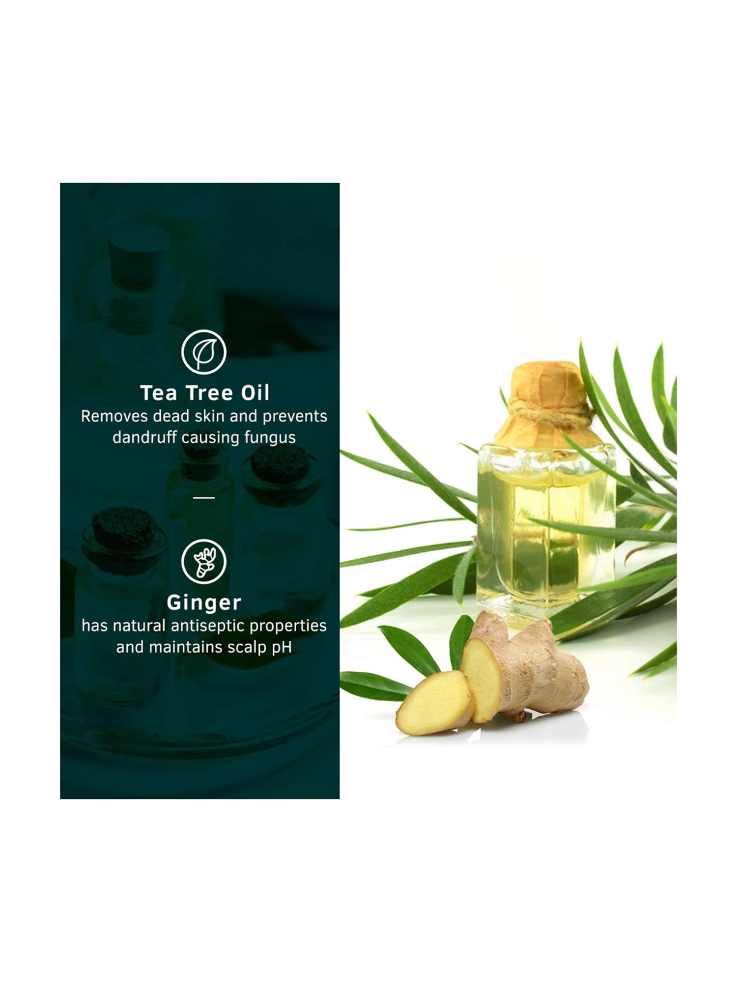 Schwarzkopf Taft Power V12 Styling Gel - 250 ml