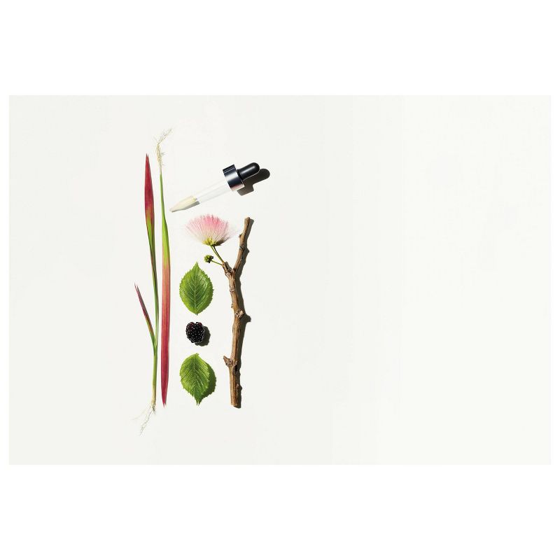 ApotheCARE Essentials PhytoYoung Firming Eye Cream - 0.4 fl oz