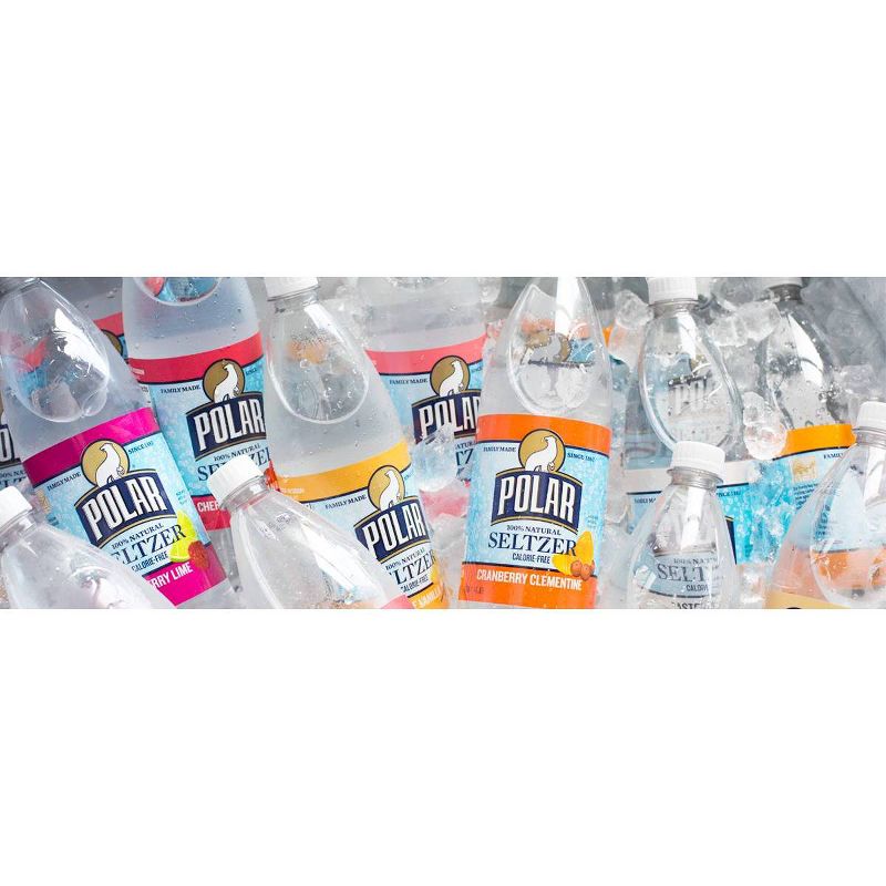 Polar Blueberry Lemonade Seltzer - 20 fl oz Bottles