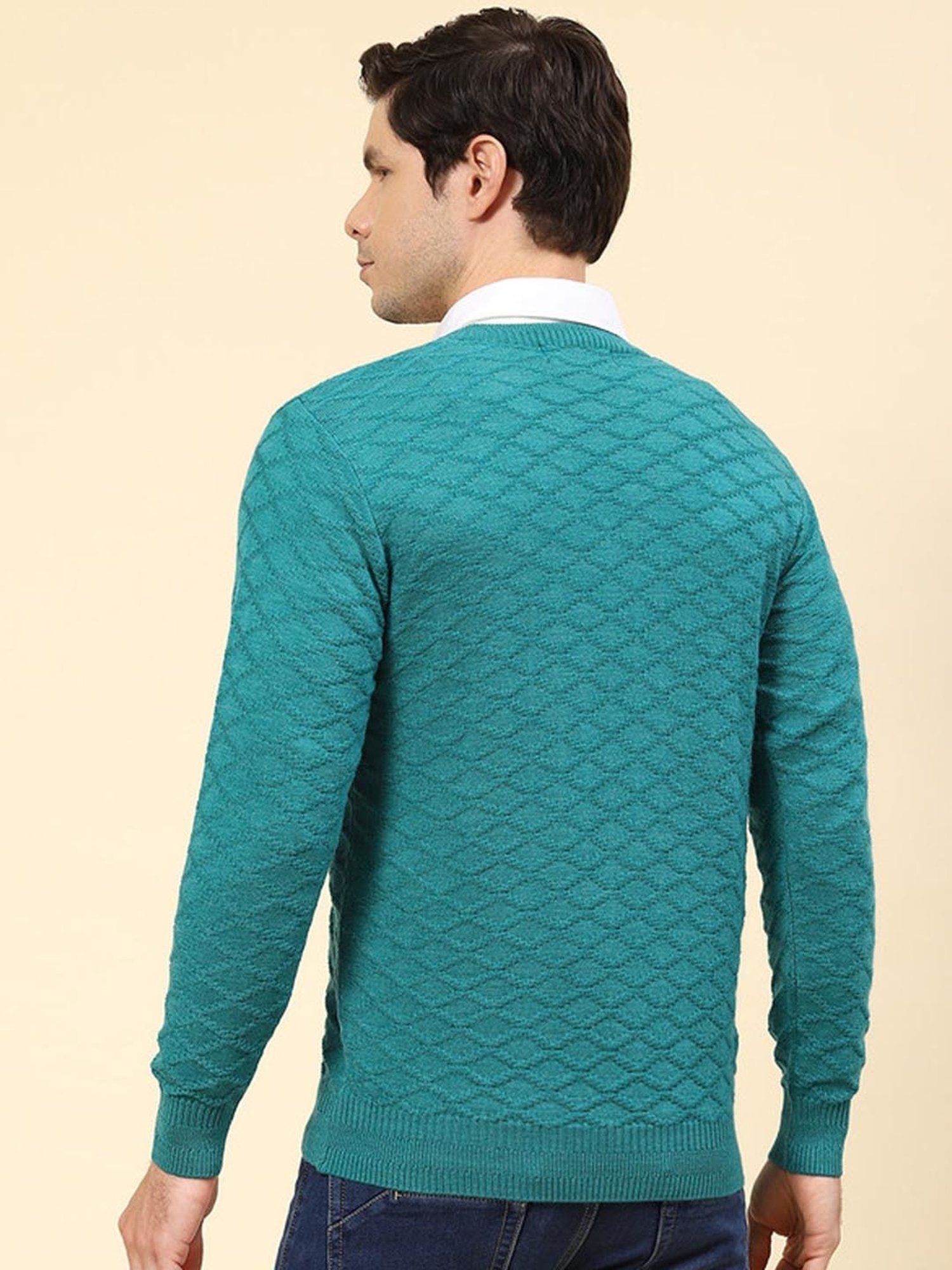 Monte Carlo Sea Green Regular Fit Self Pattern Pullover