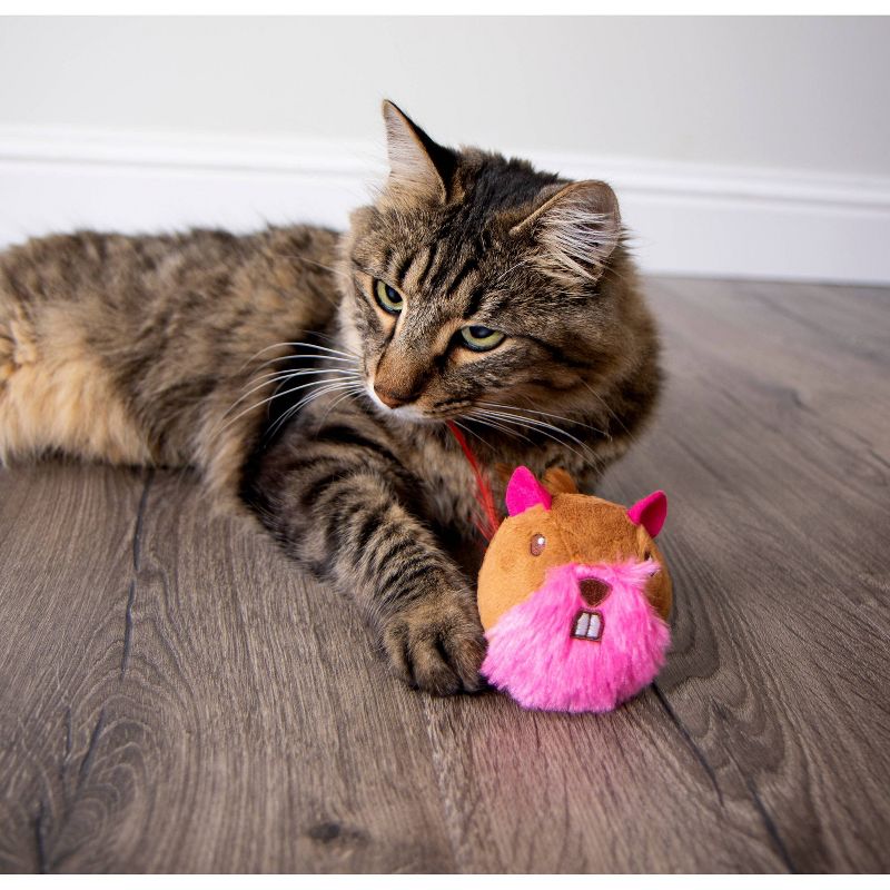 SmartyKat Chit Chatter Electronic Sound Cat Toy