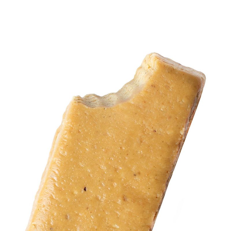 Perfect Bar Salted Caramel Cashew - 2.2oz