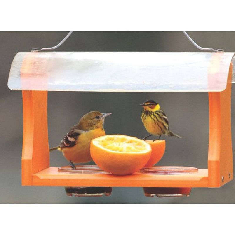 Birds Choice Poly-Recycled Oriole Bird Feeder