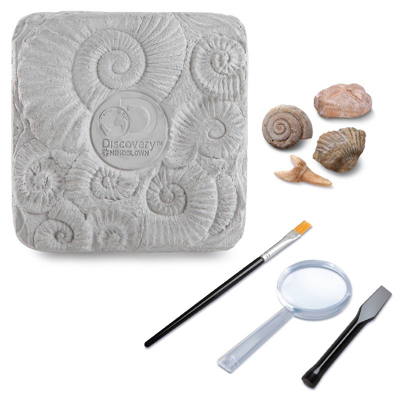 Discovery Kids Toy Fossil Excavation Science Kit 15pc