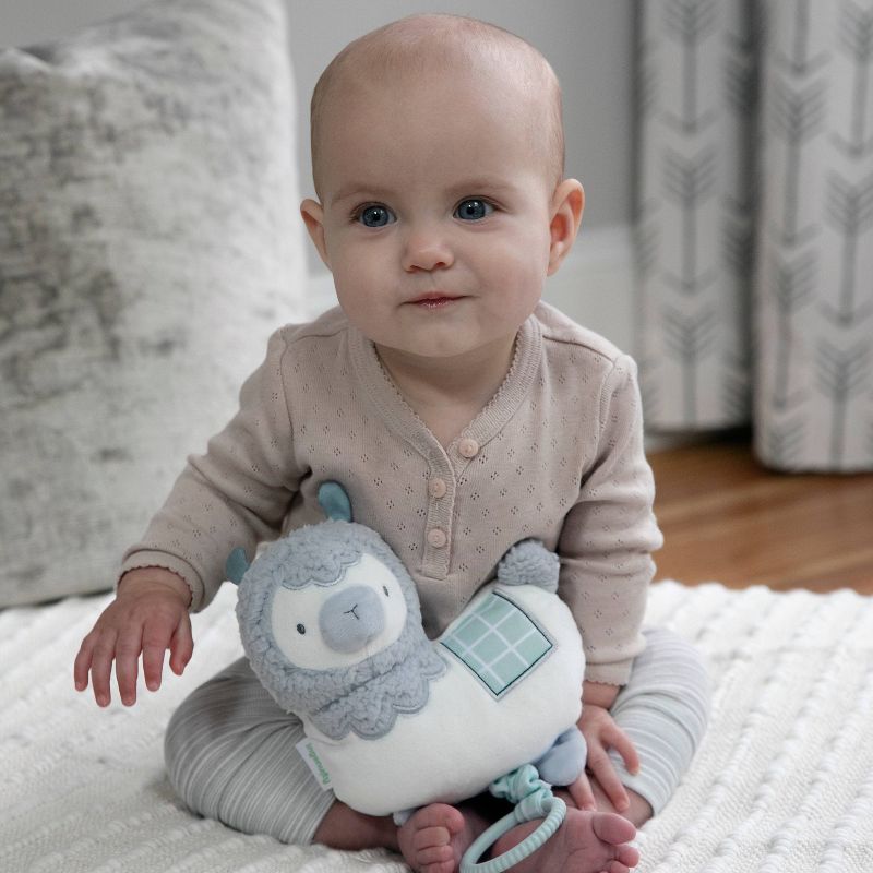 Ingenuity Cria Musical Toy