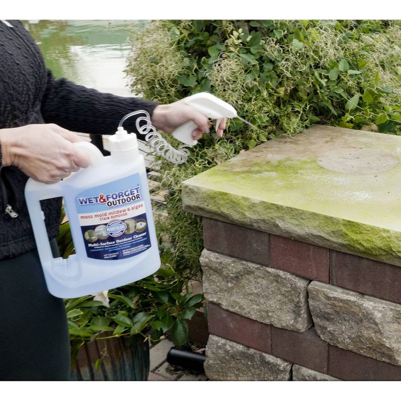 BISSELL 22 floz Oxy Stain Destroyer Pet For Carpet and Upholstery