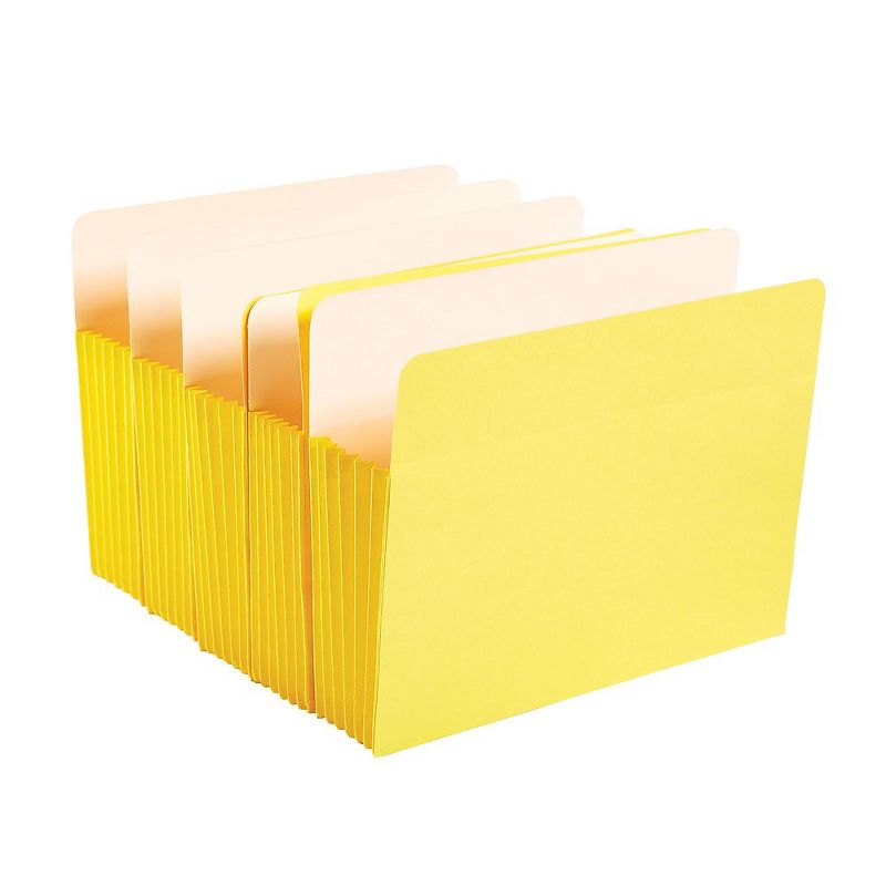 Staples Expanding File Pockets 5.25" Exp. Straight Tab Lgl Br 10/BX TR704432/704432