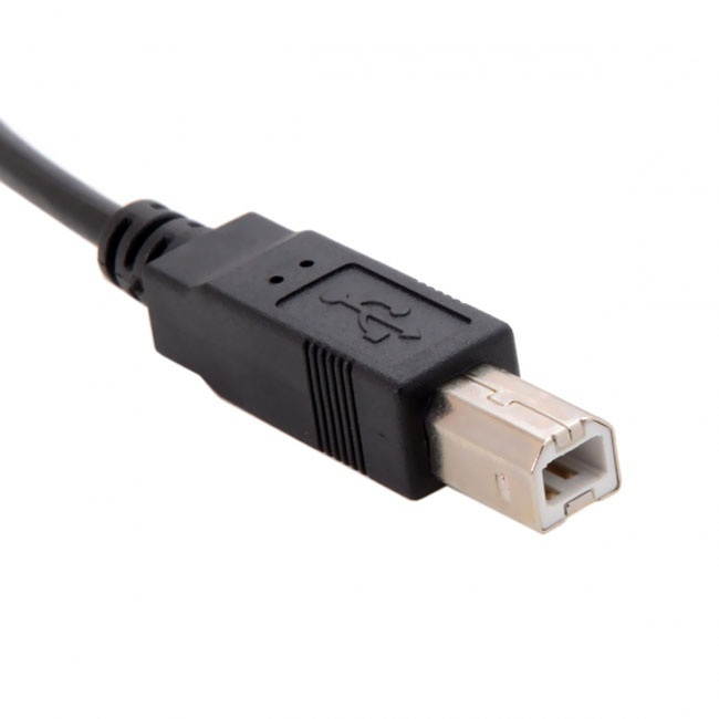 Cablecc 3m USB Standard-B Type to USB 2.0 Male Data Cable for Hard Disk & Scanner & Printer