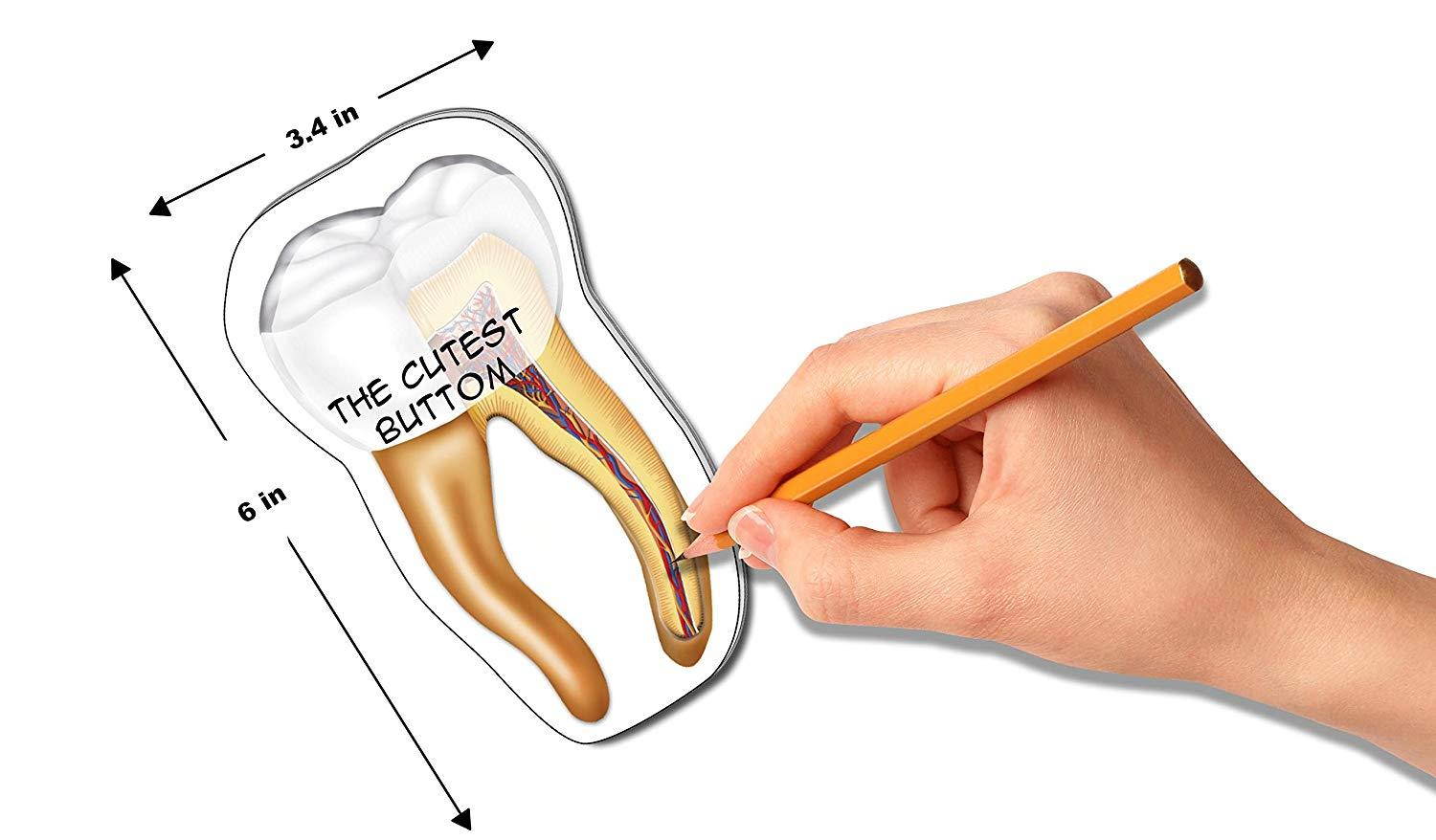 Dentist Dental Hygienist Tooth Sticky Note 4 pack, Paper Count 100