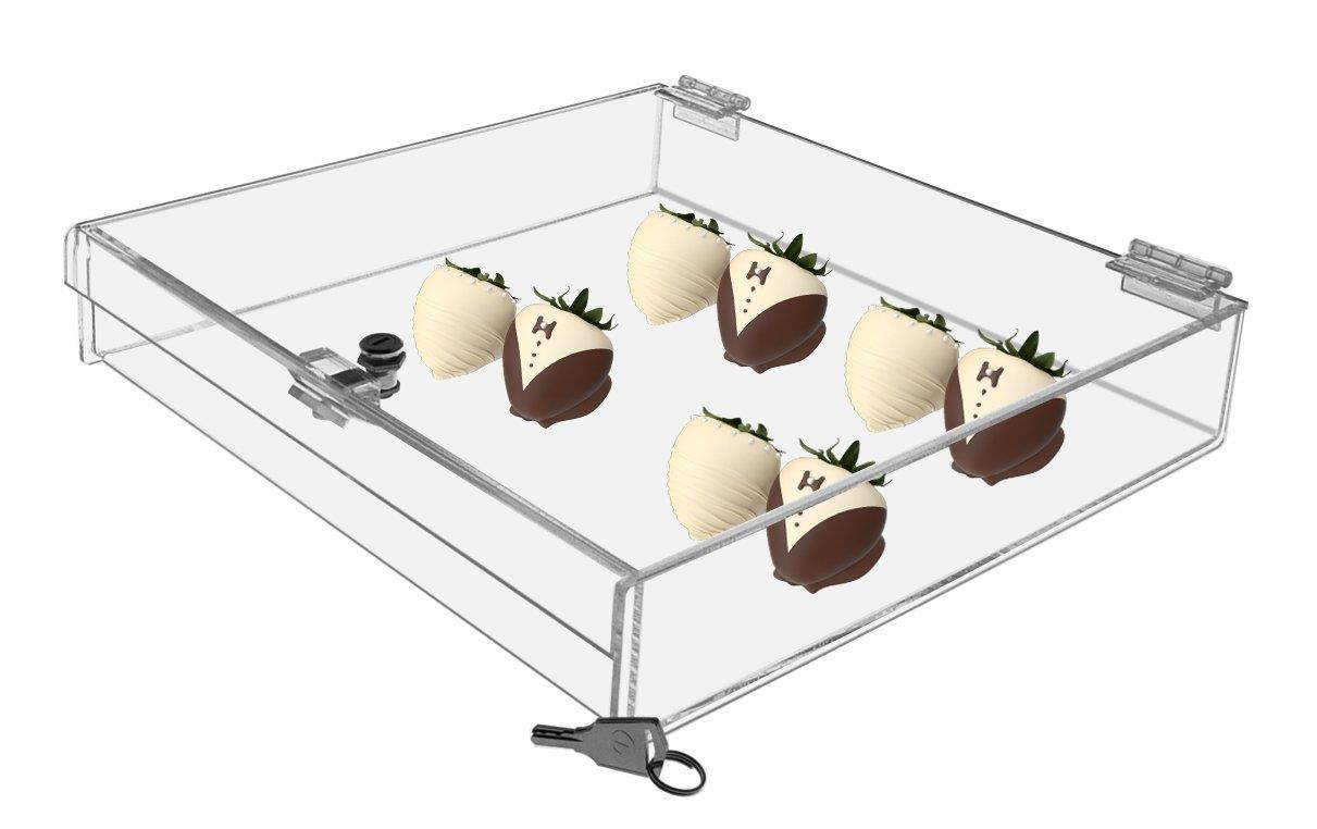 Marketing Holders Locking Cae Security Show Case Safe Box Display Valubles Keep Safe (1, 12"w x 12"d x 2"h)