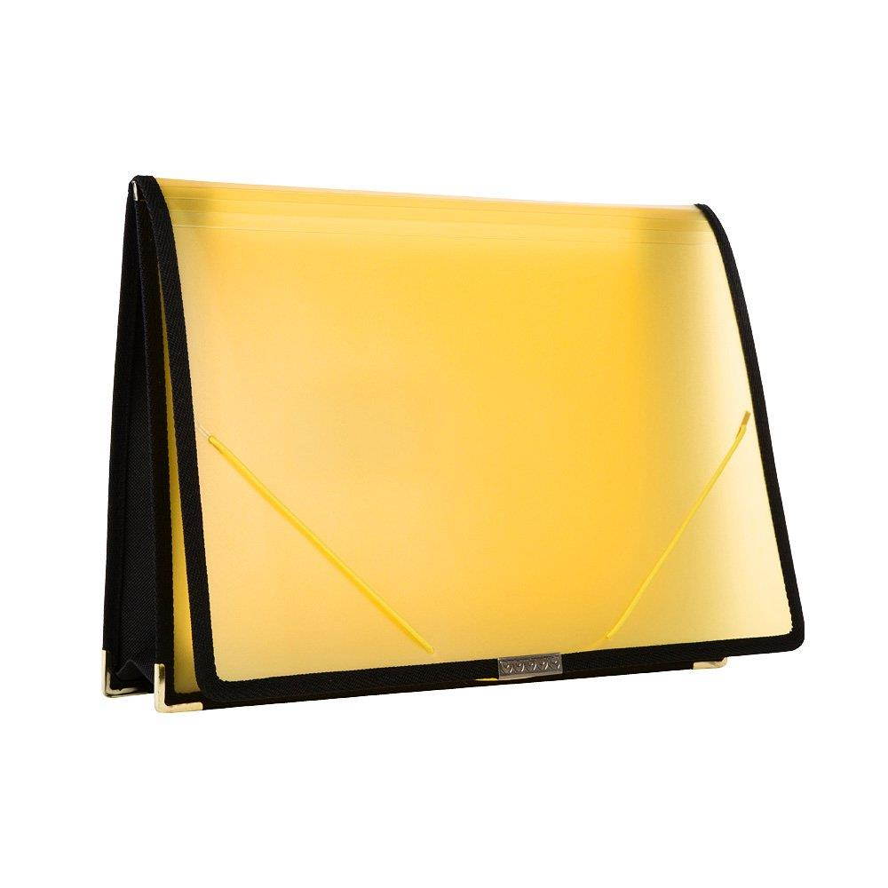 Filexec Single Pocket Expanding File, Letter, Elastic Closure, Assorted, Pack of 6 (50125-3429)