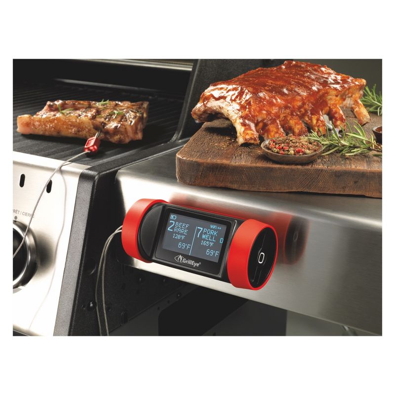 Grilling and Smoking Thermometer with Hybrid Wireless and ADS Technology - Grill Eye