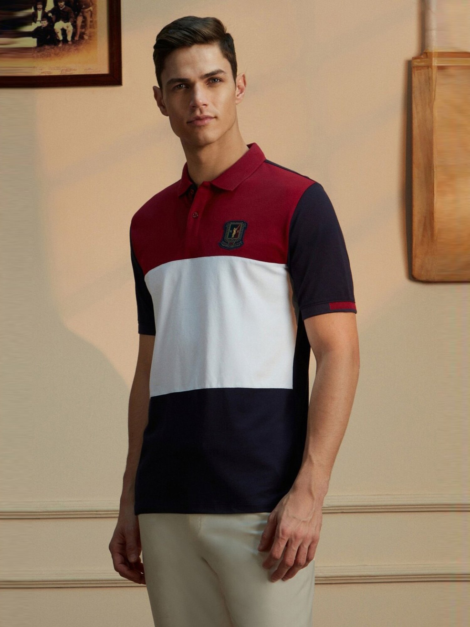 Peter England Multicolored Cotton Regular Fit Colour Block Polo T-Shirt