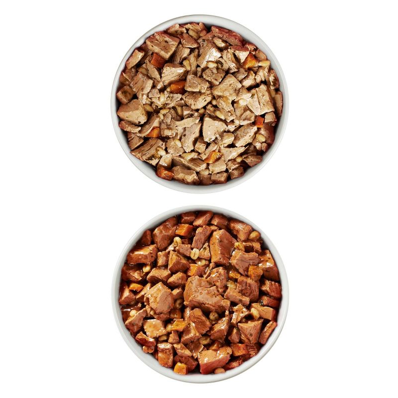 Purina ONE SmartBlend Tender Cuts In Gravy Chicken & Beef Entrée Wet Dog Food - 13oz/6ct Variety Pack