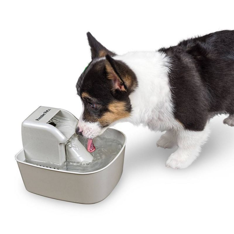 Premier Pet Automatic Pet Fountain for Dogs and Cats - 50oz