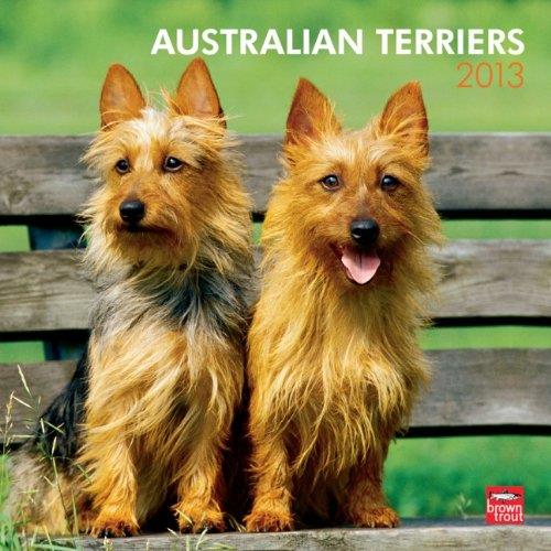 Browntrout 9781421697567 Australian Terriers 2013 Square 12X12 Wall