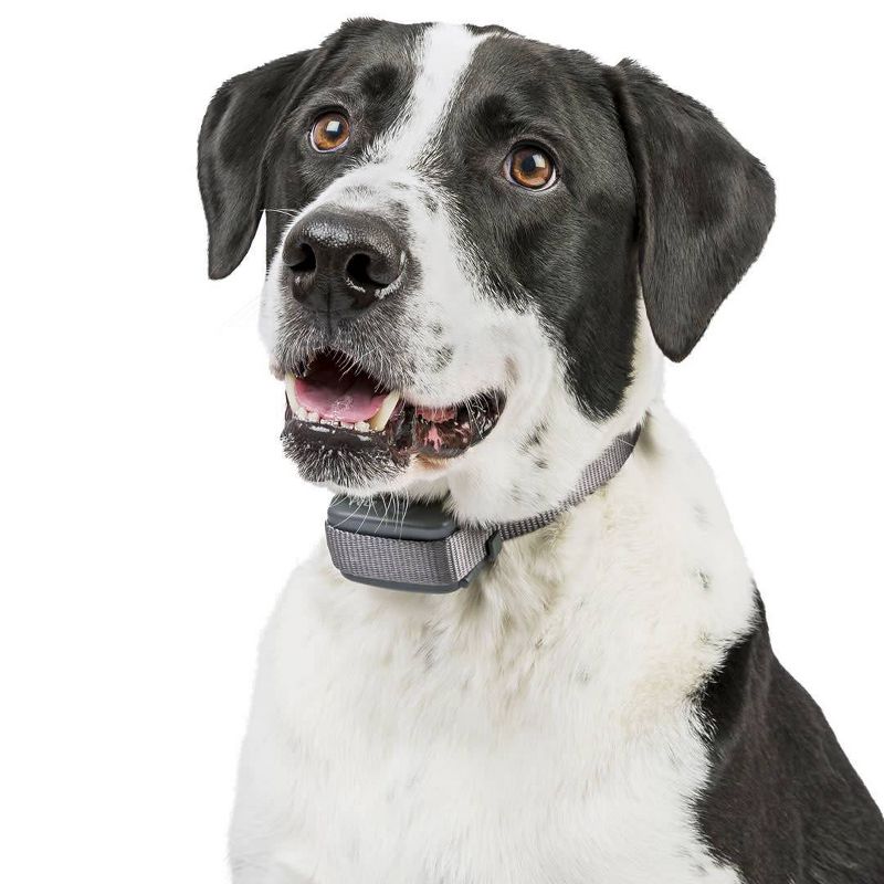 Arm & Hammer Fresh Scent Waste Bags with Bone Dispenser - 30ct