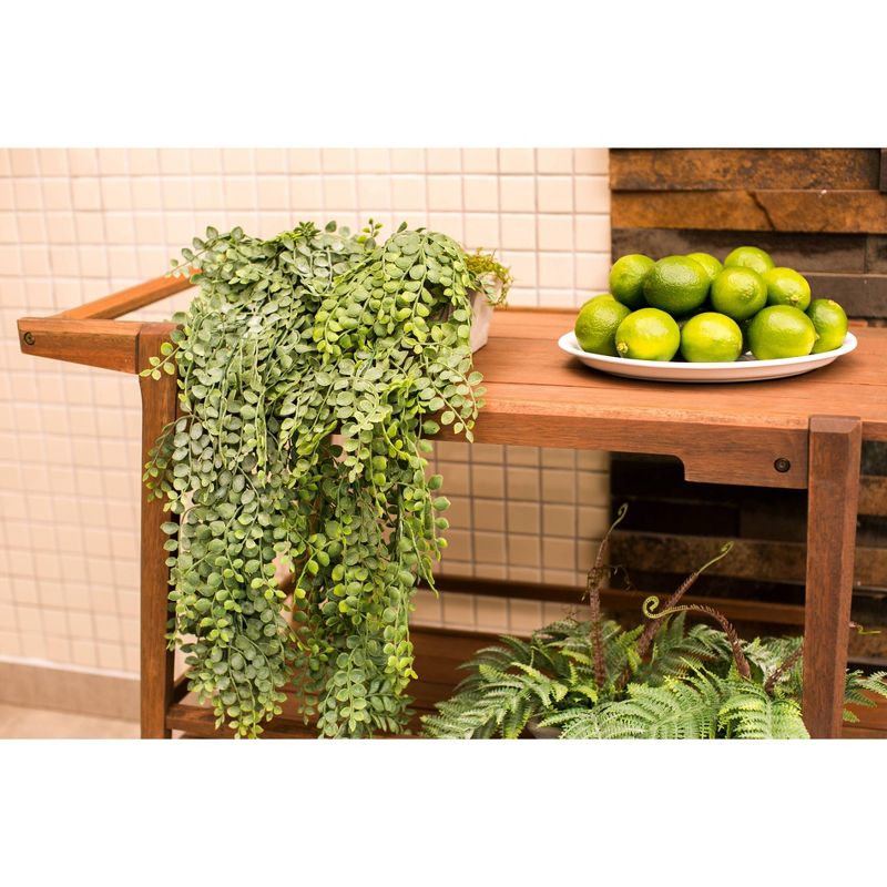 Otero Eucalyptus Wooden Outdoor Bar Trolley Cart - Alaterre Furniture