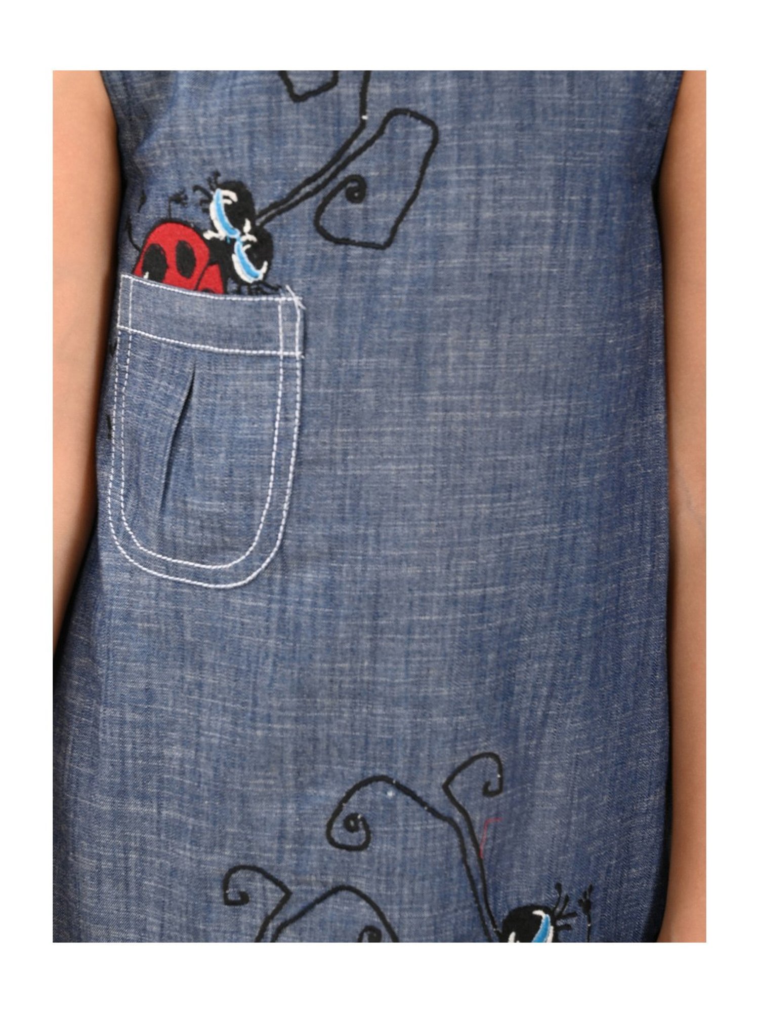 LilPicks Kids Blue Printed Dress