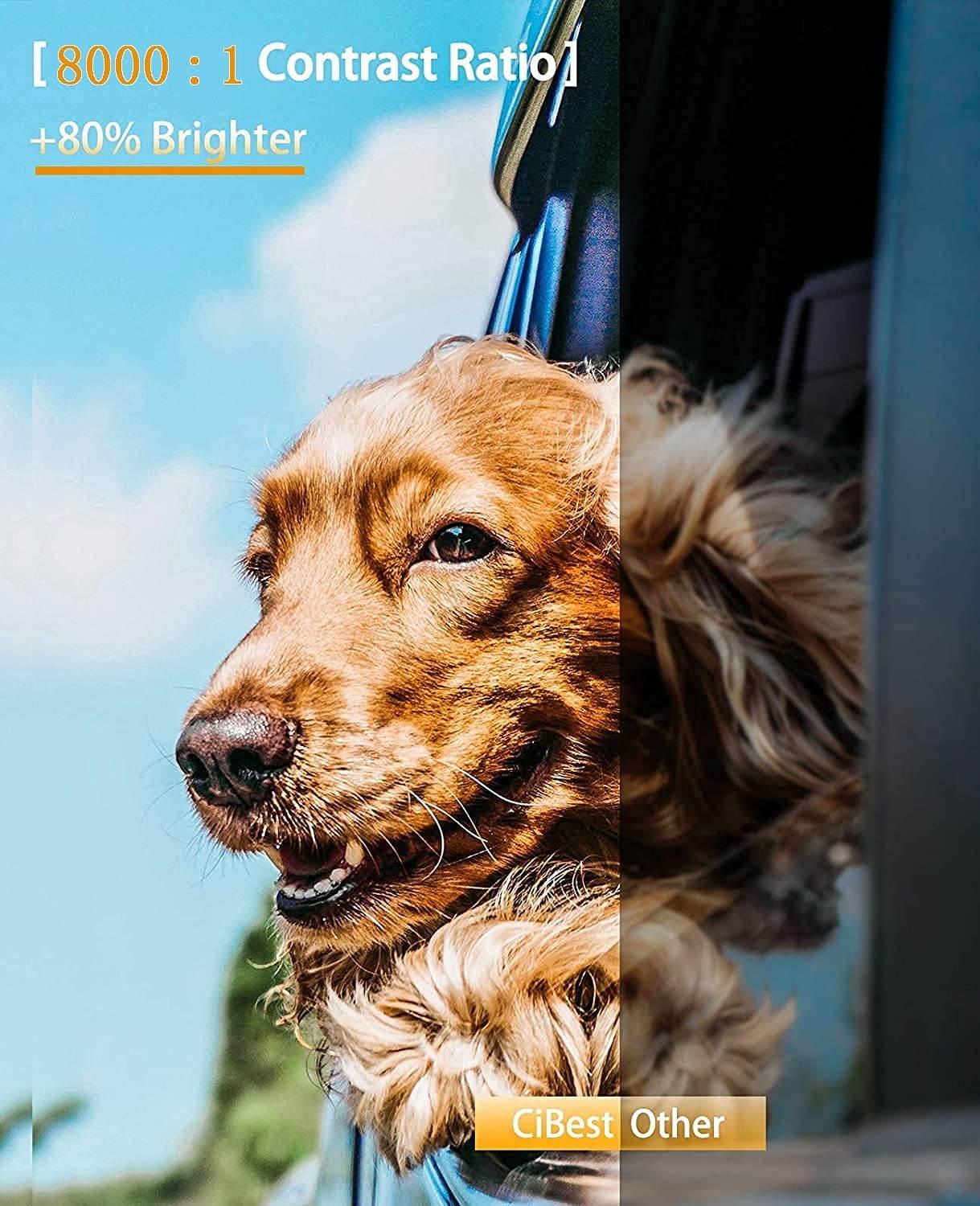 CiBest BL108 WiFi Projector Native FHD 1080P, 7500 Lumens Home Movie Projector, Compatible with iPhone, Android, TV Stick, etc. Comes with Projector Screen