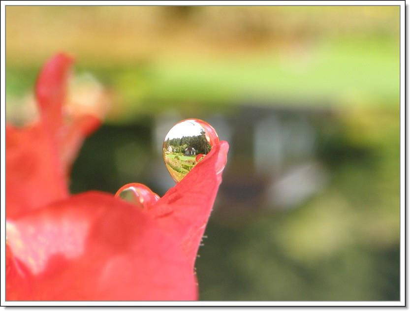 Canon EOS 70D 10x High Definition 2 Element Close-Up (Macro) Lens (82mm)