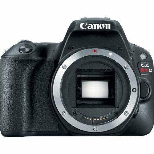 Canon EOS Rebel SL2 DSLR Camera (2249C001) W/ Bag, Extra Battery, LED Light, Mic, Filters and More - Advanced Bundle