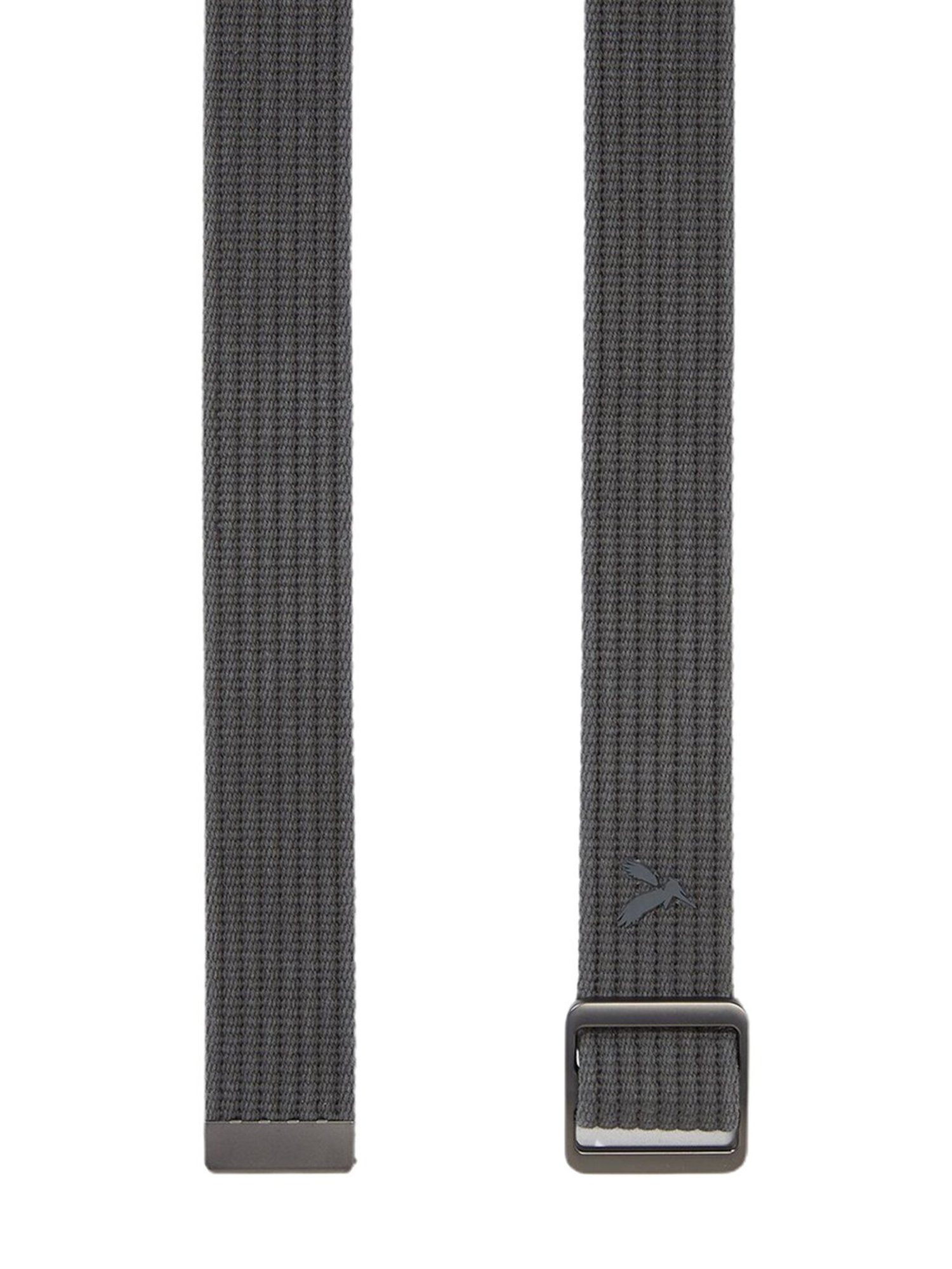 American Eagle Ribbed Web Grey Casual Belt for Men