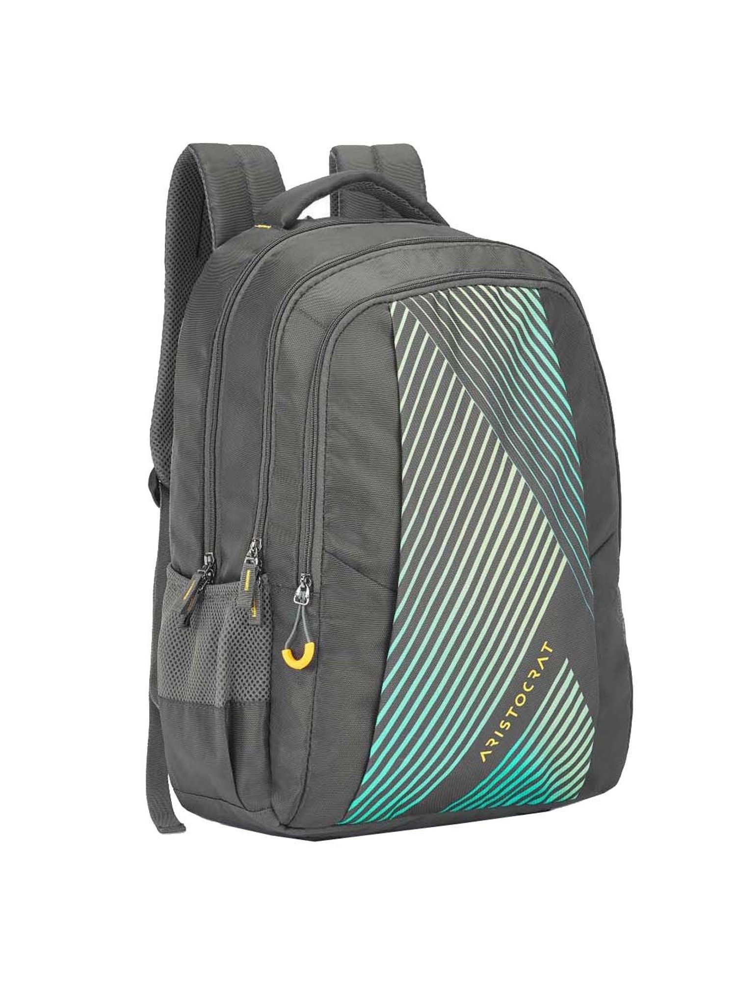 Aristocrat 27 Ltrs Grey Medium Backpack