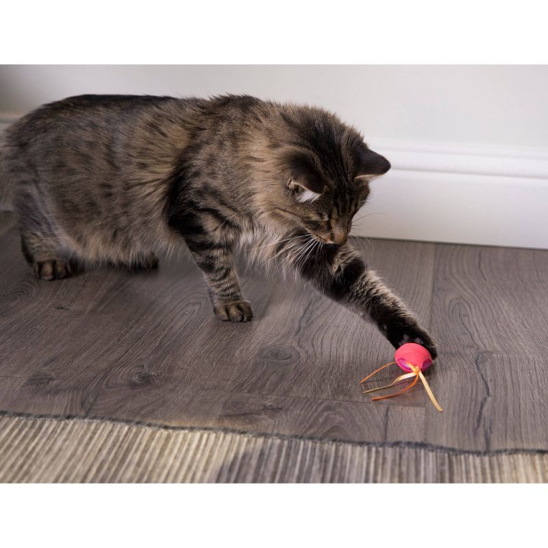 Premier Pet - RoloRat Automatic Cat Toy