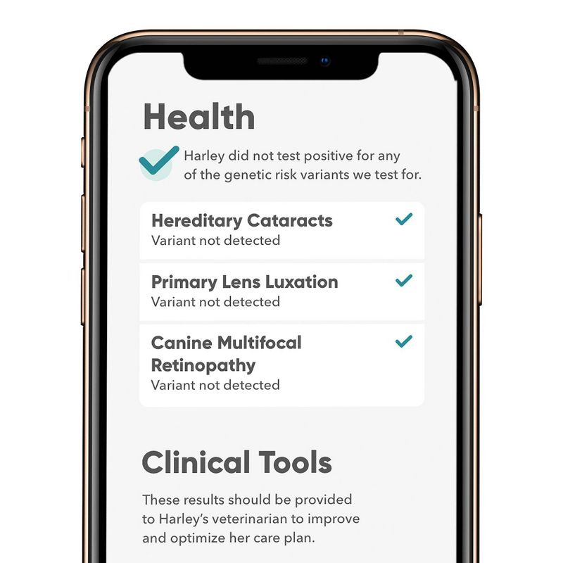 Embark Breed & Health Dog DNA Test