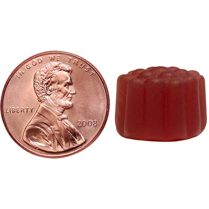 Nature Made Elderberry Gummy - 100ct