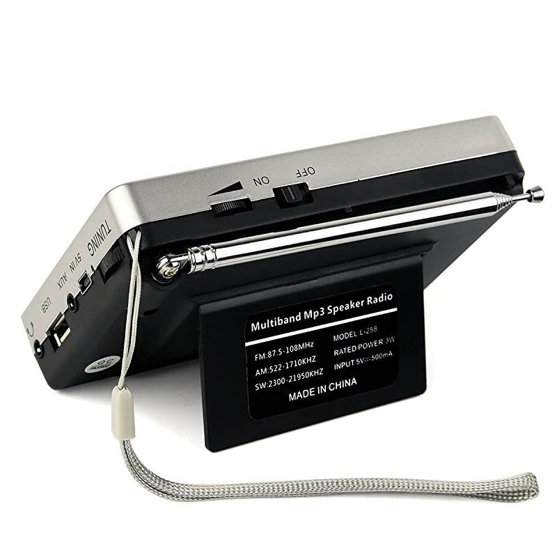 TR603 Radios Portable AM FM, Short Wave Band Radio, Digital Radio Support TF, USB, AUX Input, with Preset Button and 5W Speaker (Sliver)