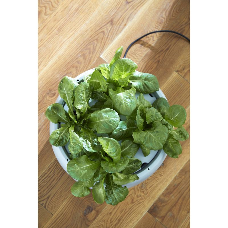 Root Farm Hydroponic Garden System