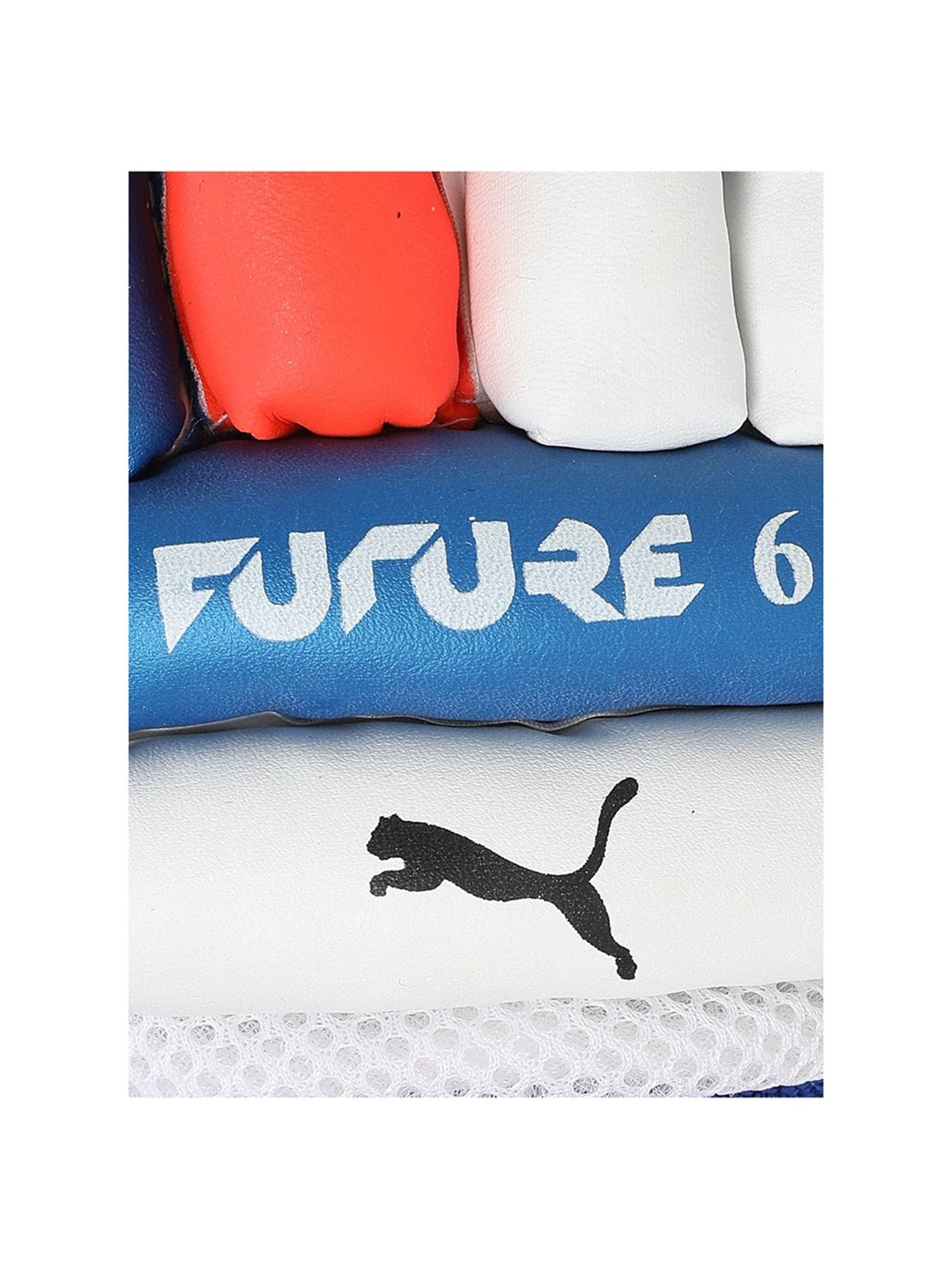 Puma Future 6 Gloves (Multicolor) - Size B