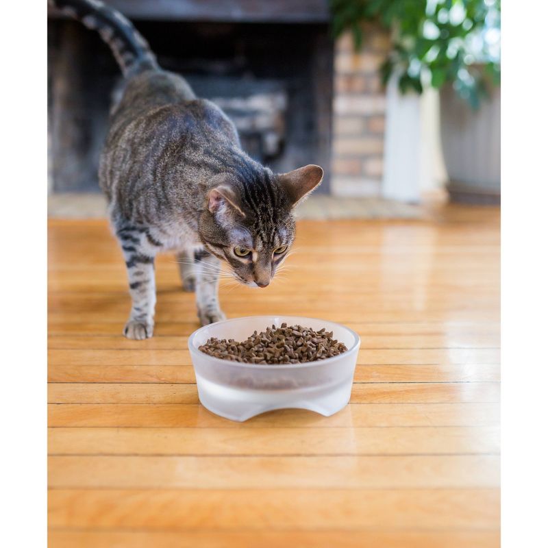 Dr. Tim's Pet Food Chase with Chicken Adult Premium Dry Cat Food - 5.15lbs