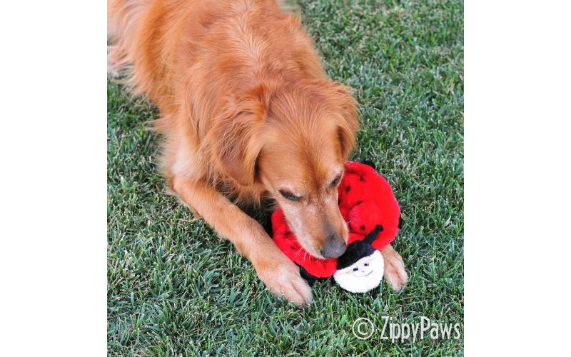 ZippyPaws - Crawlers, 6-Squeaker Plush Dog Toy - Betsey The Ladybug