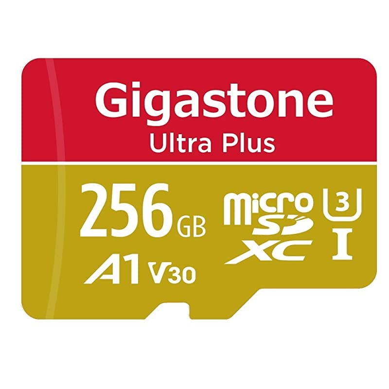 256GB Micro SD Card 4K Video Recording 4K Game Pro Nintendo Switch Compatible RW up to 10060MBs Micro SDXC UHSI A2 V30 Class 10