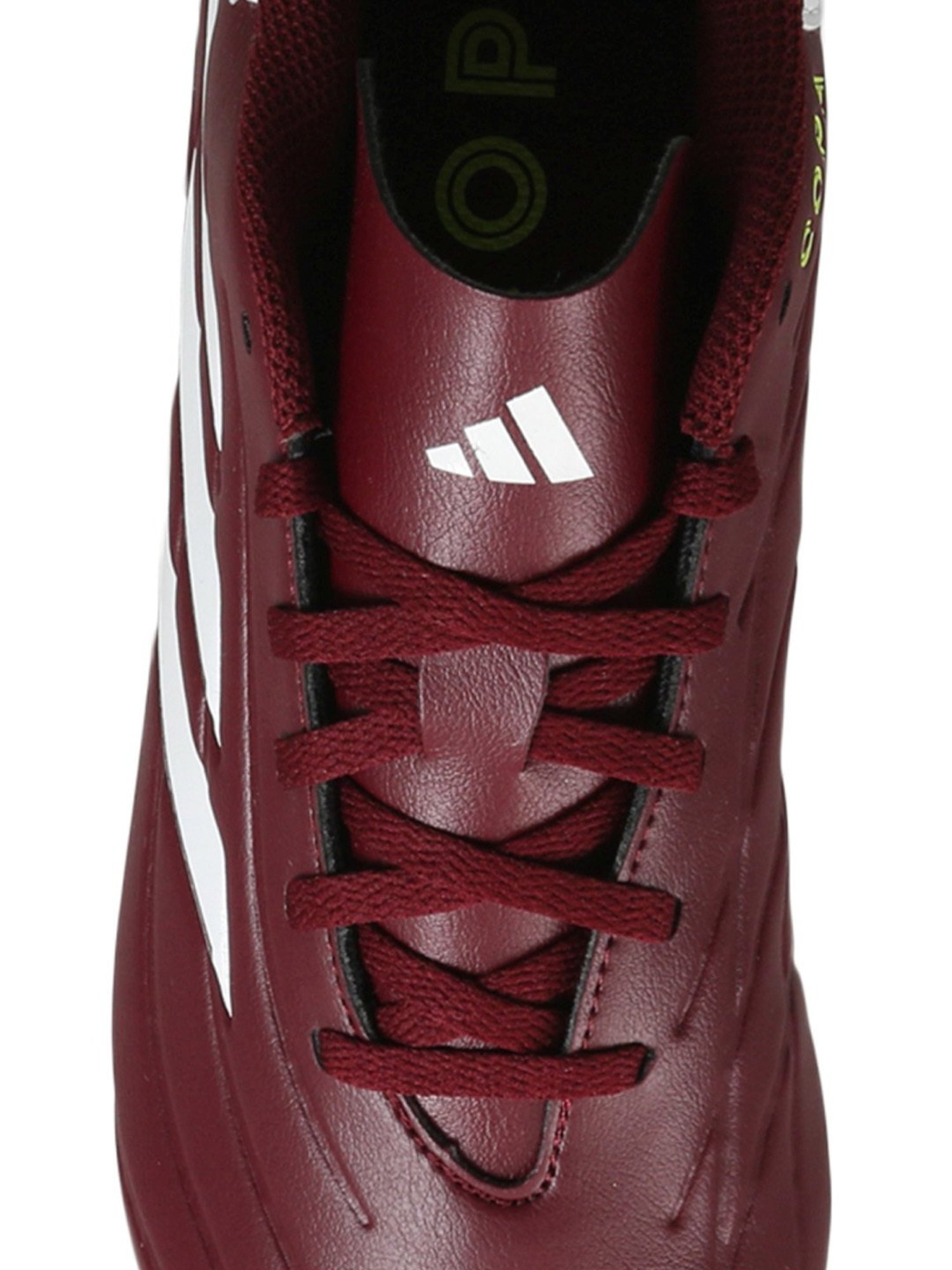 Adidas Men's COPA PURE 2 CLUB FxG Maroon Football Shoes