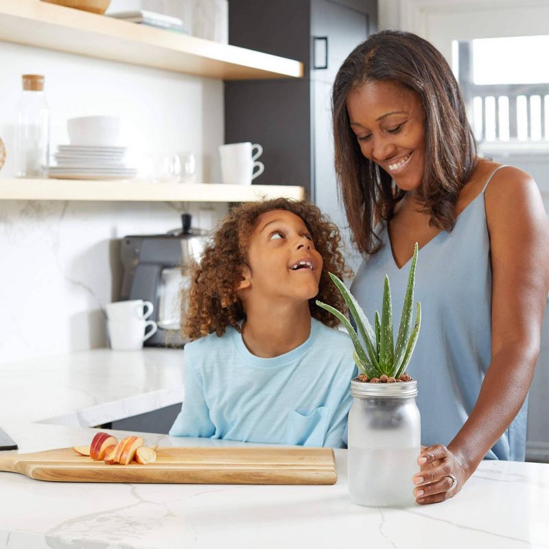 Back to the Roots Hydroponic Succulent & Cactus Grow Kit