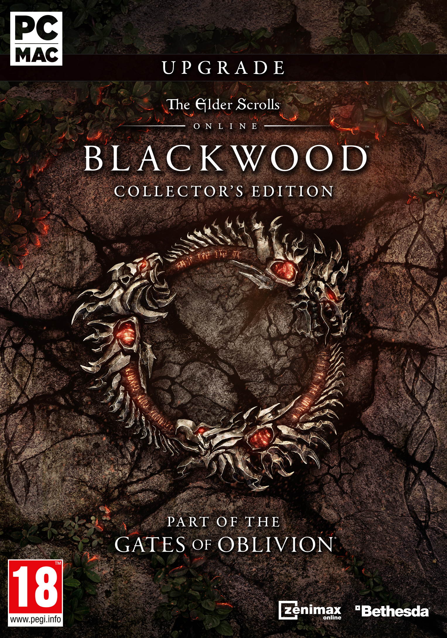 The Elder Scrolls&reg; Online Collection: Blackwood&trade;  [Online Game Code]