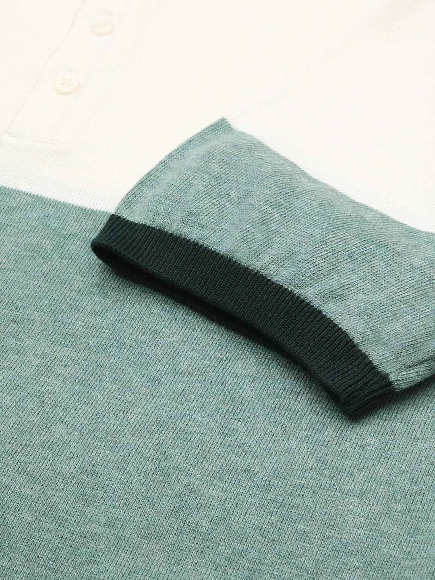 The Bear House Green Regular Fit Colour Block Polo T-Shirt