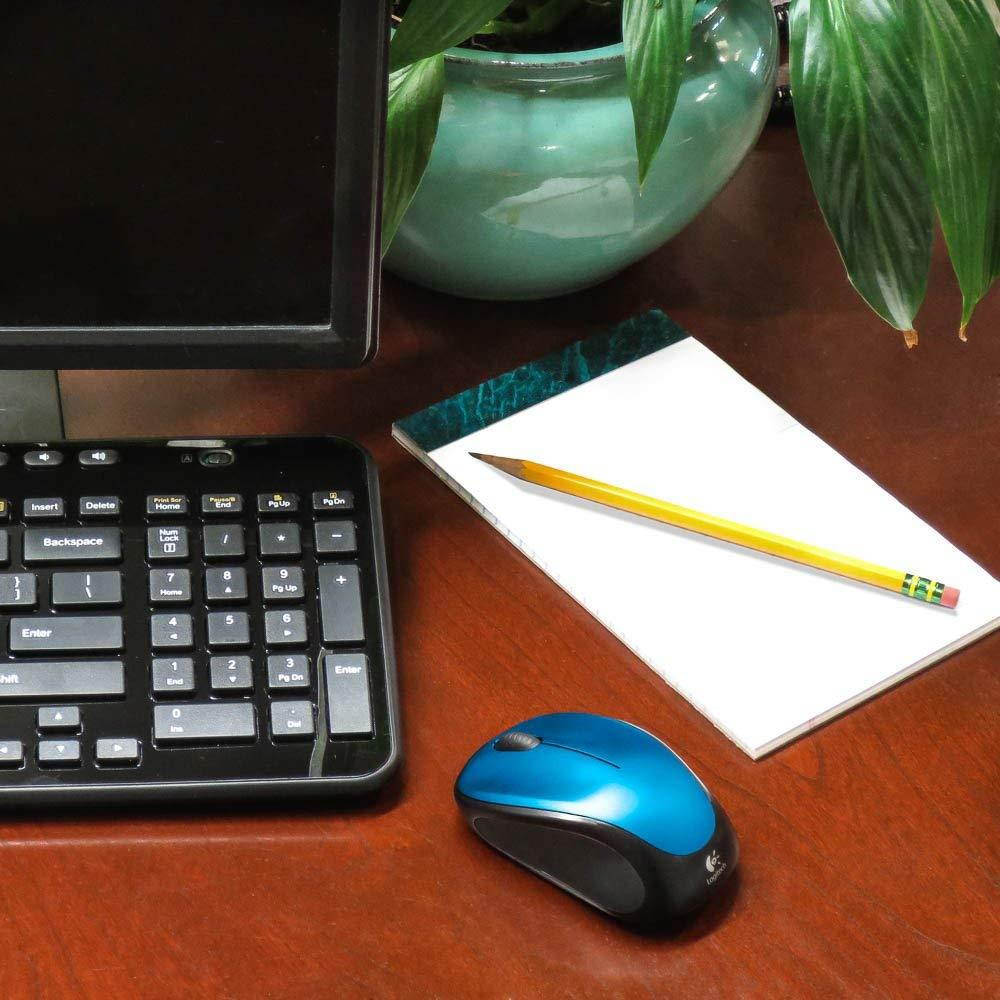 Logitech Wireless Mouse m317 with Unifying Receiver, Steel Blue