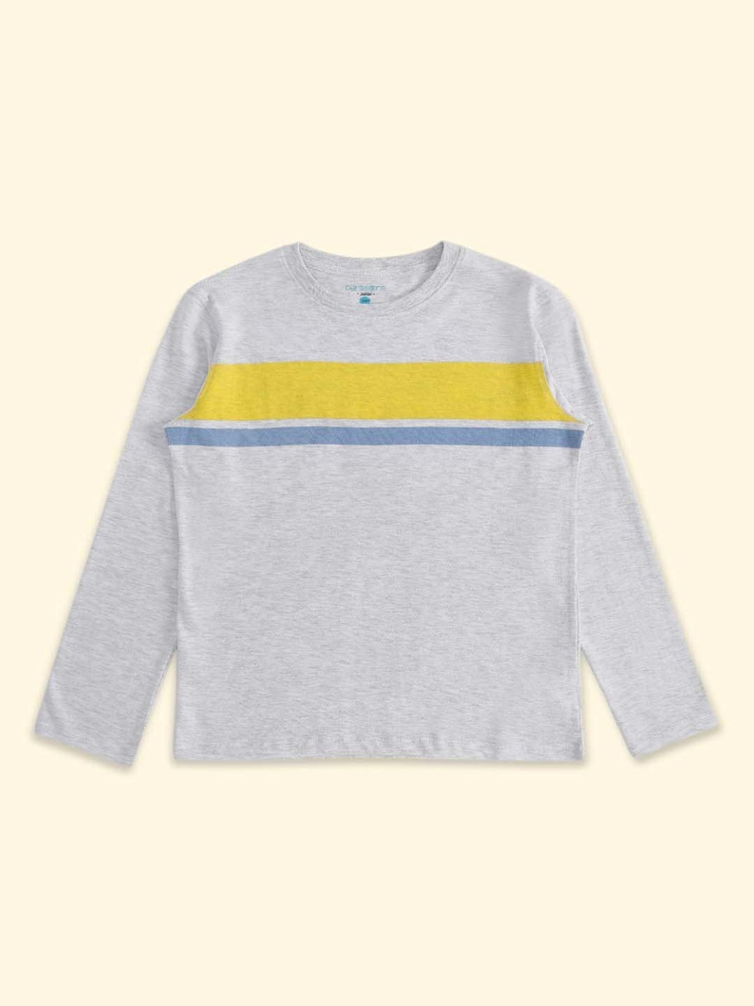 Pantaloons Baby Kids Blue & Grey Cotton Printed Full Sleeves T-Shirt