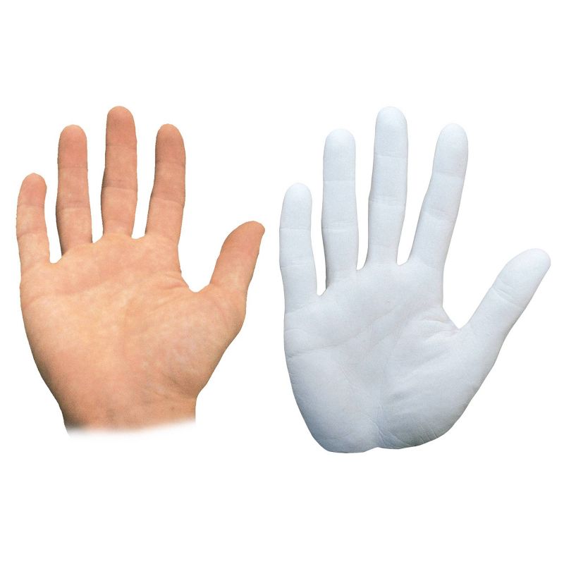 Smithsonian Mold & Paint Craft Kit - Hand Mold